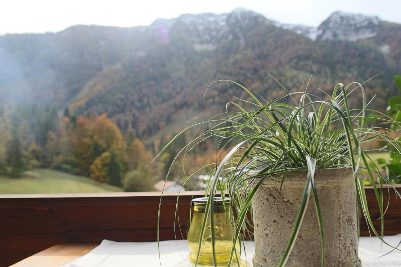 Kienberghof Apartment อินเซลล์ ภายนอก รูปภาพ